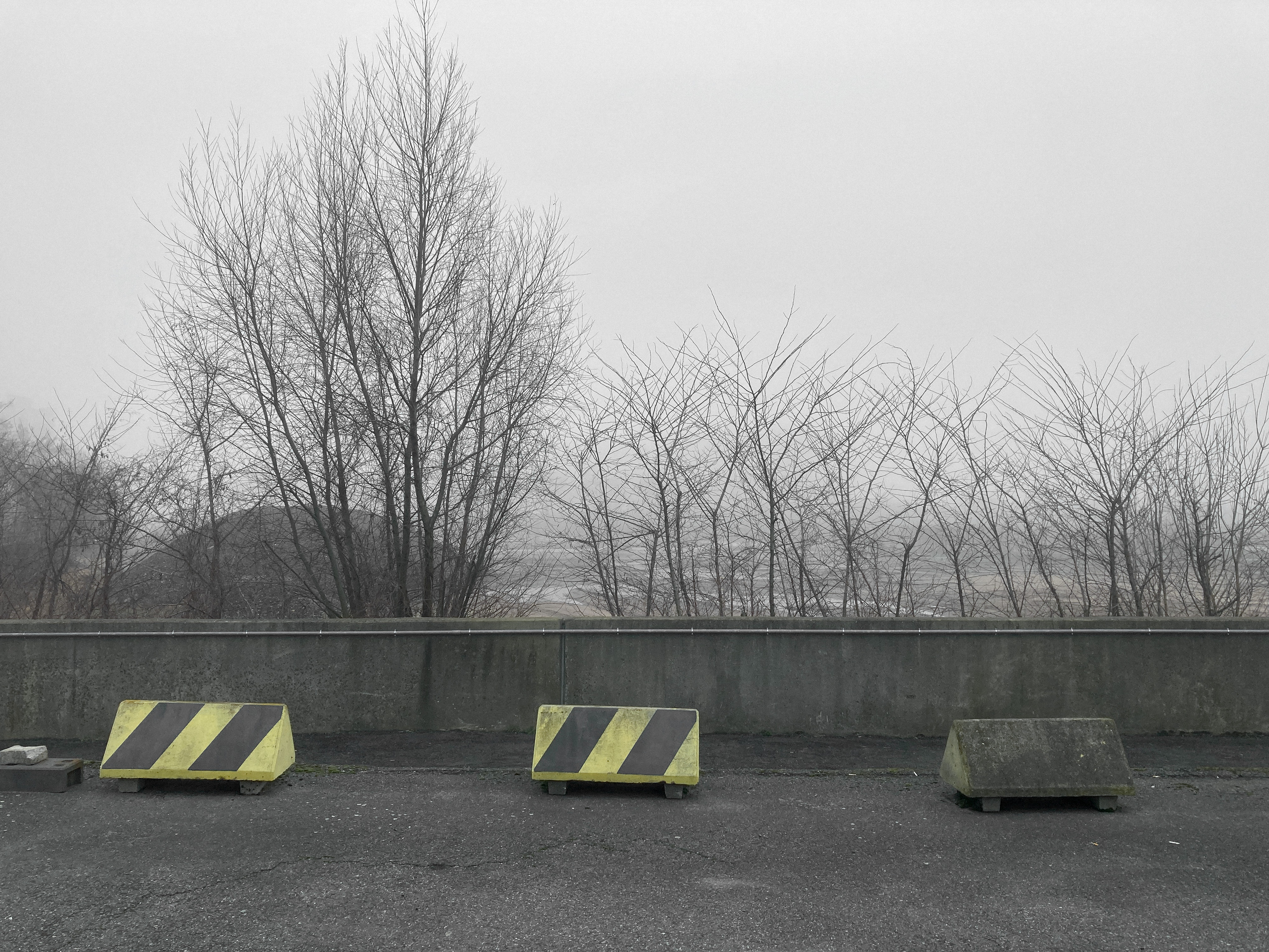 Foggy HH-Harbor